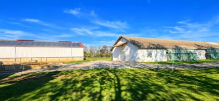 Mezőkövesden 2,5ha-on igényes lovastanya, 2 szobás+ nappalis családi lakrész és gazdasági komplexum ELADÓ. - Image 11