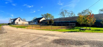 Mezőkövesden 2,5ha-on igényes lovastanya, 2 szobás+ nappalis családi lakrész és gazdasági komplexum ELADÓ. - Image 13