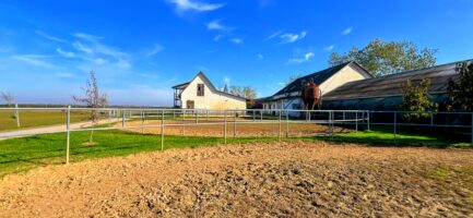 Mezőkövesden 2,5ha-on igényes lovastanya, 2 szobás+ nappalis családi lakrész és gazdasági komplexum ELADÓ. - Image 16