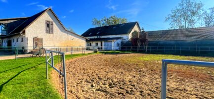 Mezőkövesden 2,5ha-on igényes lovastanya, 2 szobás+ nappalis családi lakrész és gazdasági komplexum ELADÓ. - Image 17