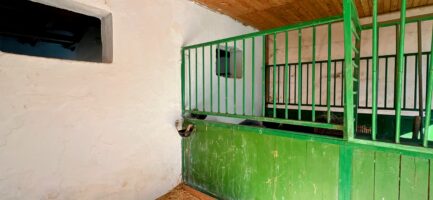 Mezőkövesden 2,5ha-on igényes lovastanya, 2 szobás+ nappalis családi lakrész és gazdasági komplexum ELADÓ. - Image 35