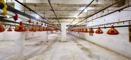 Mezőkövesden 2,5ha-on igényes lovastanya, 2 szobás+ nappalis családi lakrész és gazdasági komplexum ELADÓ. - Image 37