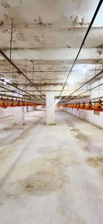 Mezőkövesden 2,5ha-on igényes lovastanya, 2 szobás+ nappalis családi lakrész és gazdasági komplexum ELADÓ. - Image 38