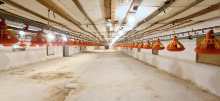 Mezőkövesden 2,5ha-on igényes lovastanya, 2 szobás+ nappalis családi lakrész és gazdasági komplexum ELADÓ. - Image 39