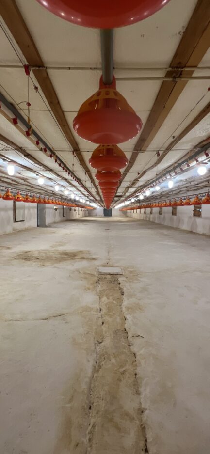 Mezőkövesden 2,5ha-on igényes lovastanya, 2 szobás+ nappalis családi lakrész és gazdasági komplexum ELADÓ. - Image 40