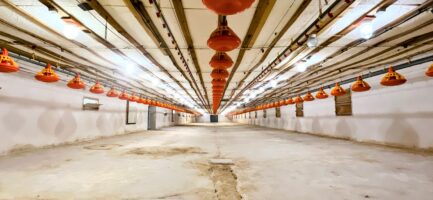 Mezőkövesden 2,5ha-on igényes lovastanya, 2 szobás+ nappalis családi lakrész és gazdasági komplexum ELADÓ. - Image 41