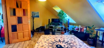 Mezőkövesden 2,5ha-on igényes lovastanya, 2 szobás+ nappalis családi lakrész és gazdasági komplexum ELADÓ. - Image 55