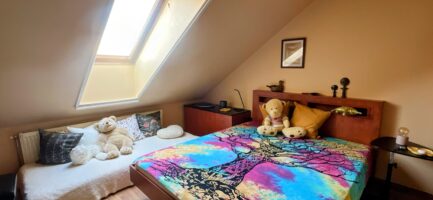 Mezőkövesden 2,5ha-on igényes lovastanya, 2 szobás+ nappalis családi lakrész és gazdasági komplexum ELADÓ. - Image 62