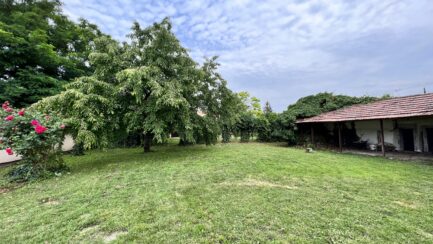 Kömlőn, a Tisza tótól nem messze 3 szobás tornácos parasztház ELADÓ. - Image 21