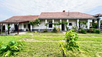 Kömlőn, a Tisza tótól nem messze 3 szobás tornácos parasztház ELADÓ. - Image 23