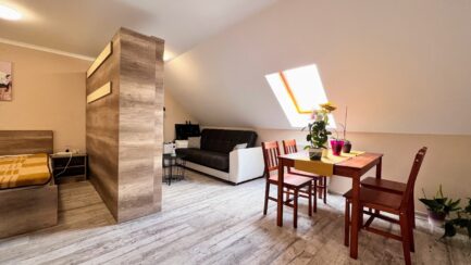 Mezőkövesd Zsóry fürdőn felújított 4 apartmanos üdülőház ELADÓ. - Image 25