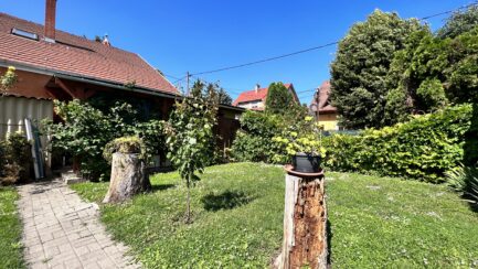 Vácon kiváló állapotú családi ház  80m2-es üzlethelyiséggel ELADÓ. - Image 20
