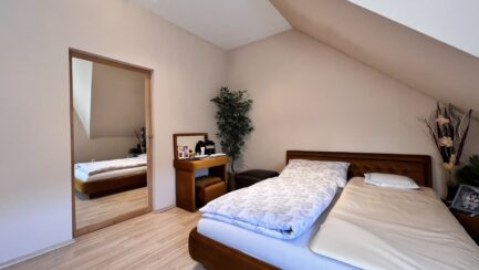 Vácon kiváló állapotú családi ház  80m2-es üzlethelyiséggel ELADÓ. - Image 30
