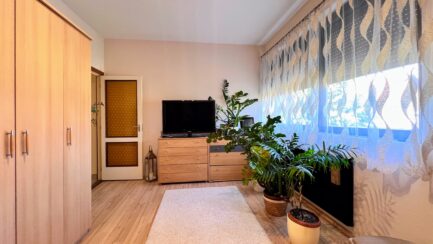 Vácon kiváló állapotú családi ház  80m2-es üzlethelyiséggel ELADÓ. - Image 33