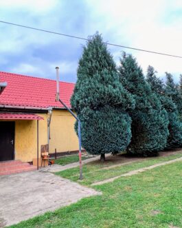A Miskolccal határos Felsőzsolcán kereskedelmi célokra is hasznosítható nagyobb alapterületű családi ház ELADÓ.