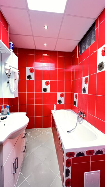 Miskolc Vasgyár részén komplex ipari, kereskedelmi, raktározási és lakó ingatlan ELADÓ. - Image 16