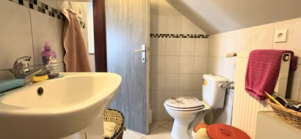 Mezőkövesden kiváló lakókörnyezetben 3 szobás+ nappalis családi ház ELADÓ. - Image 27