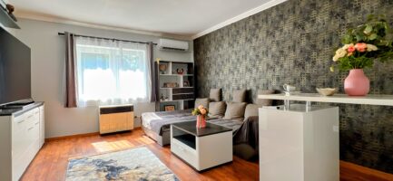 Bükkzsércen kiváló állapotú, 3 szobás családi ház eladó. - Image 28