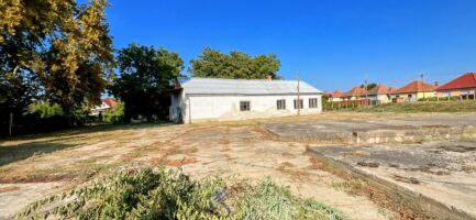 250M, Az Egertől nem messze lévő Verpeléten 10.000M2, nagy alapterületű ipari ingatlan, borászat ELADÓ. - Image 18