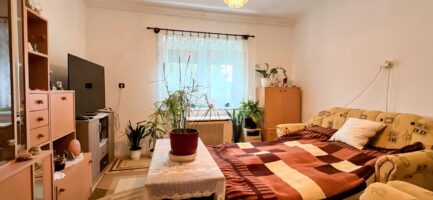 Sályban a Bükk lábánál 70m2-es, 2 szobás + nappalis, jó állapotú családi ház 1374m2-es telken eladó. - Image 10