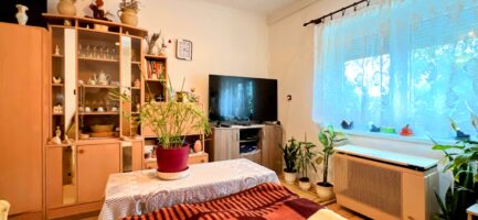 Sályban a Bükk lábánál 70m2-es, 2 szobás + nappalis, jó állapotú családi ház 1374m2-es telken eladó. - Image 11