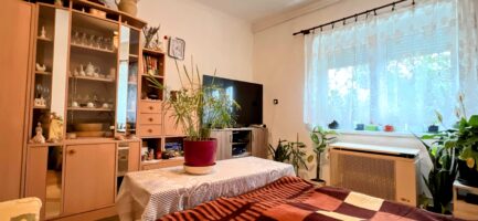 Sályban a Bükk lábánál 70m2-es, 2 szobás + nappalis, jó állapotú családi ház 1374m2-es telken eladó. - Image 12