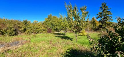 Gyöngyösön ipari ingatlan, kereskedelmi egység, bútorbolt eladó. - Image 35