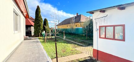 Tiszabábolnán 2 szobás+ nappalis + vendégházas kiváló állapotú családi ház eladó. - Image 13