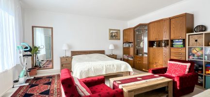 Tiszabábolnán 2 szobás+ nappalis + vendégházas kiváló állapotú családi ház eladó. - Image 18