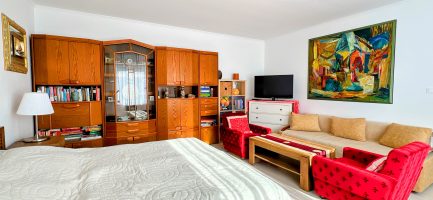 Tiszabábolnán 2 szobás+ nappalis + vendégházas kiváló állapotú családi ház eladó. - Image 26