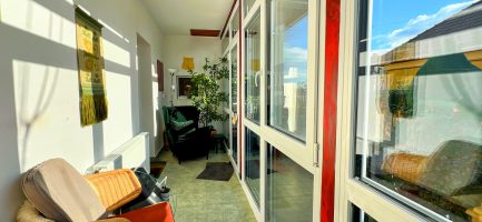 Tiszabábolnán 2 szobás+ nappalis + vendégházas kiváló állapotú családi ház eladó. - Image 36
