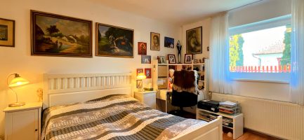 Tiszabábolnán 2 szobás+ nappalis + vendégházas kiváló állapotú családi ház eladó. - Image 38