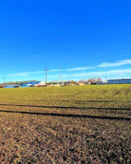 Mezőkövesden mezőgazdasági földterület, telek ipari hasznosításra eladó.